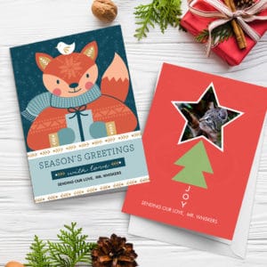 Creative ideas for pet christmas card photos