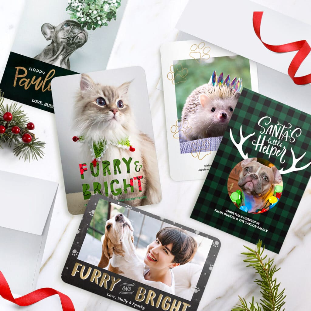 A selection of pets Christmas cards.
