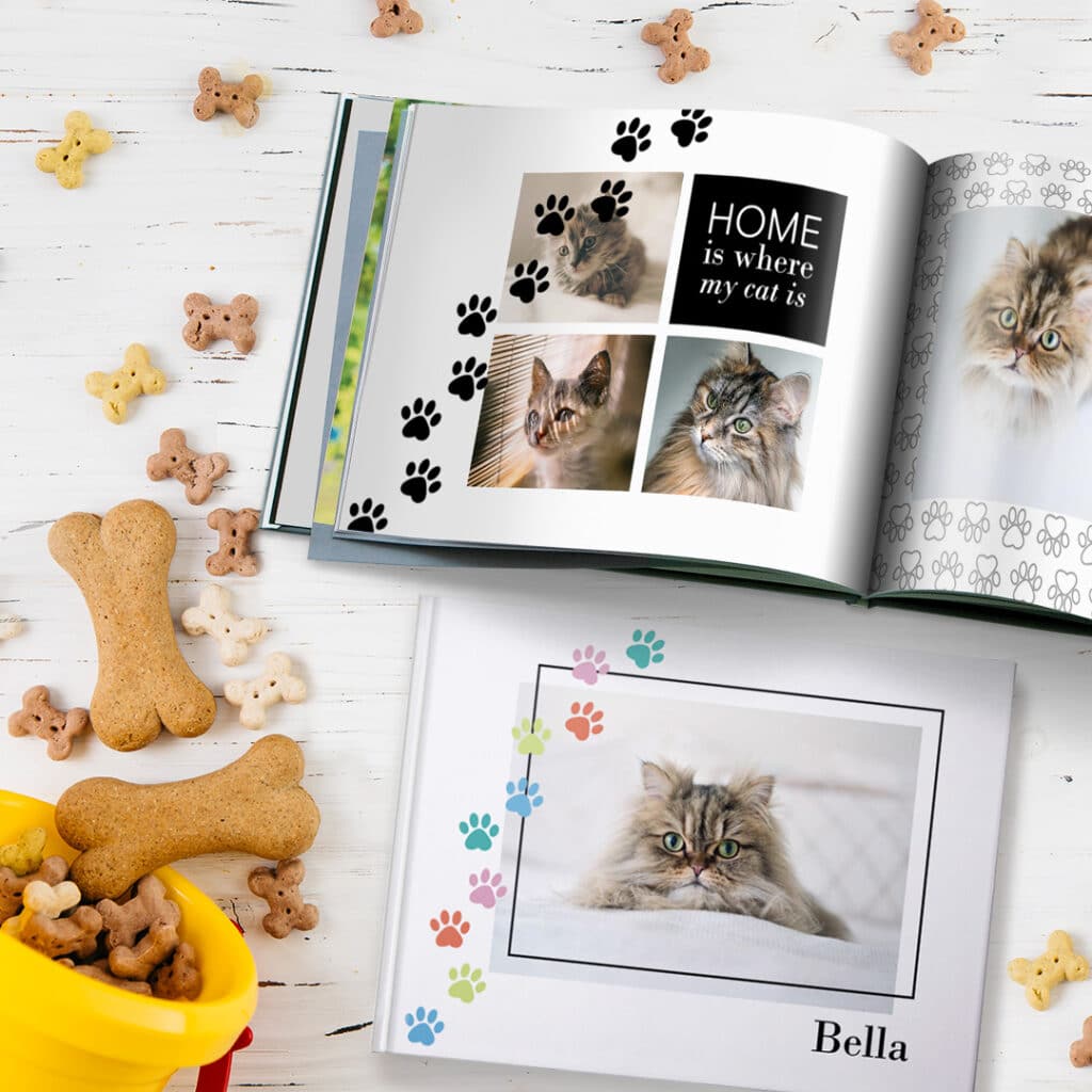 Photobooks with a cat theme with pet treats scattered around